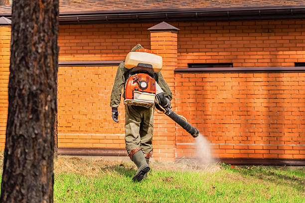 Trusted Ant Control service in Fruitridge Pocket, CA - Nex Pest Control